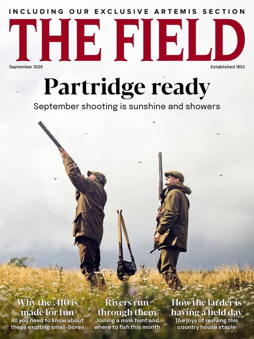 Cover image for The Field